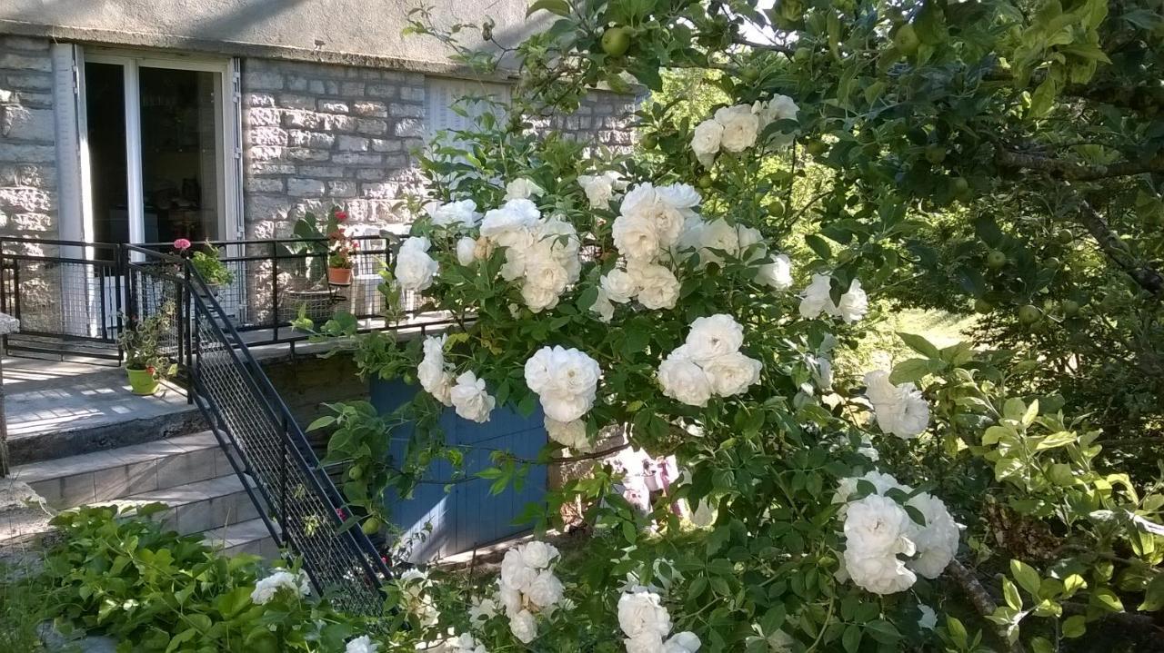 Au Domaine Des Oiseaux Bed & Breakfast Montredon  Dış mekan fotoğraf